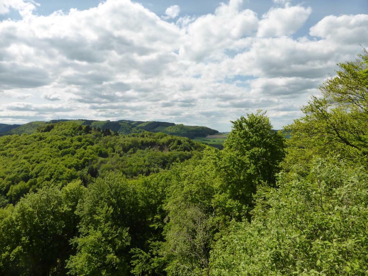 Das Nest Winterberg Esterno foto