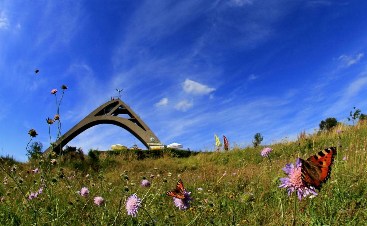 Das Nest Winterberg Esterno foto