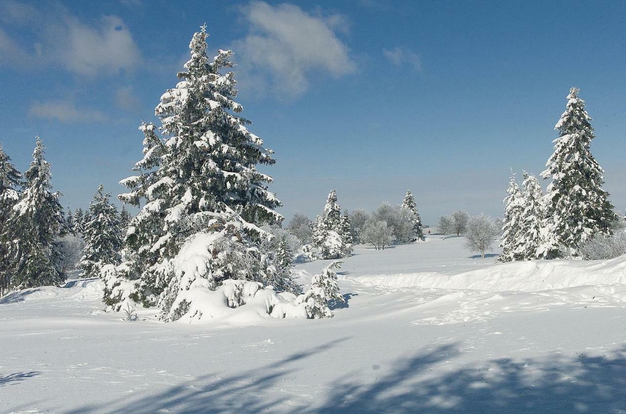 Das Nest Winterberg Esterno foto